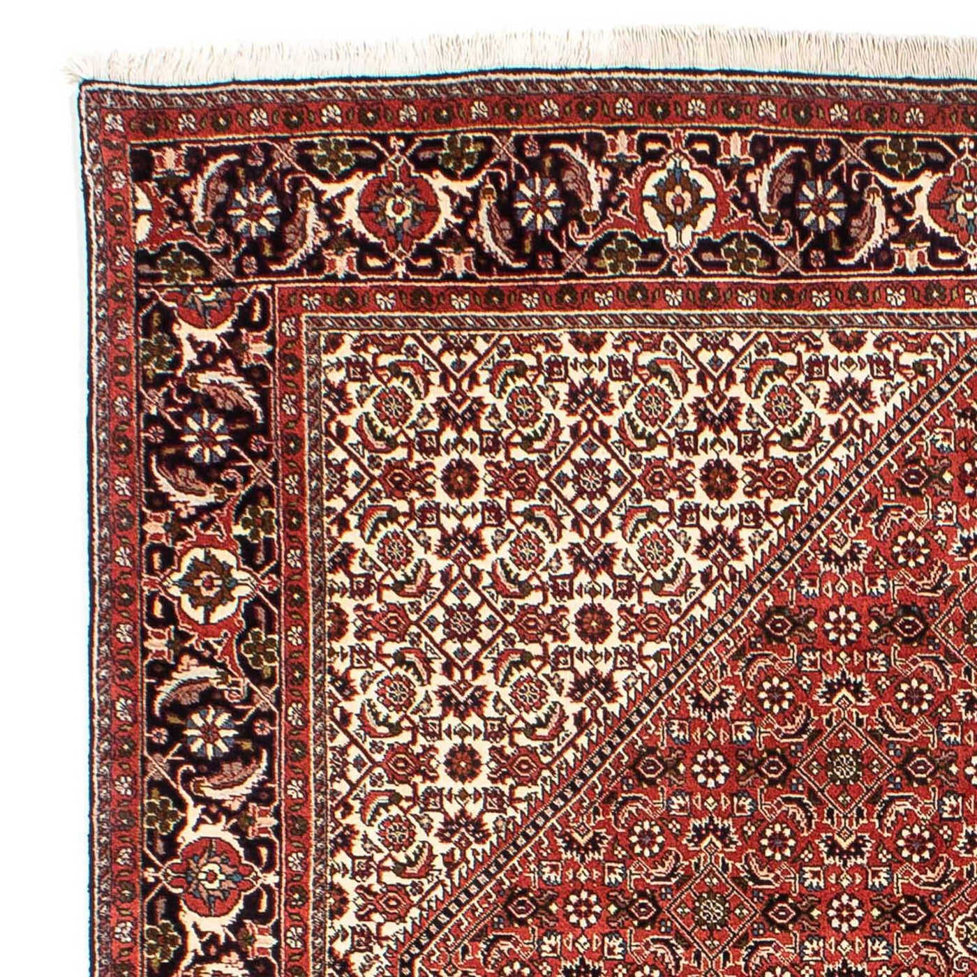Bidjar Tappeto 242x173cm - Tappeto persiano