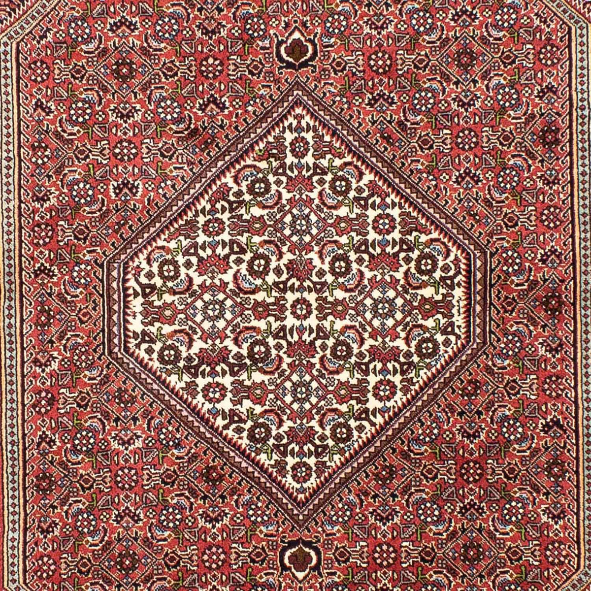 Tappeto Persero - Bidjar - 255 x 170 cm - rosso chiaro