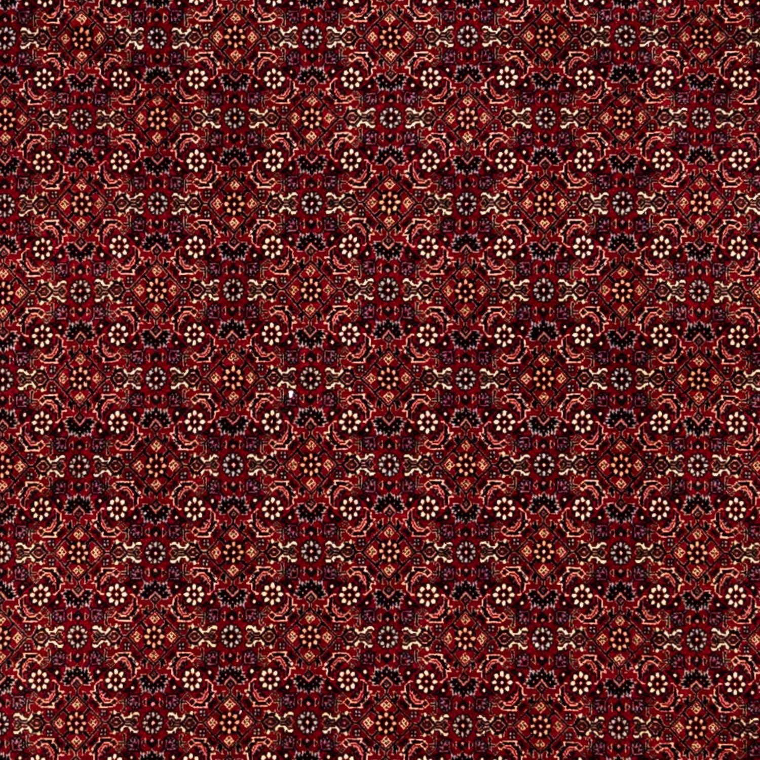 Tappeto Persero - Bidjar - 350 x 250 cm - rosso