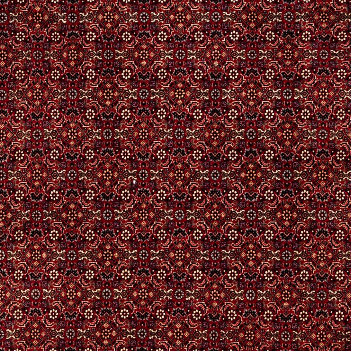 Tappeto Persero - Bidjar - 350 x 250 cm - rosso