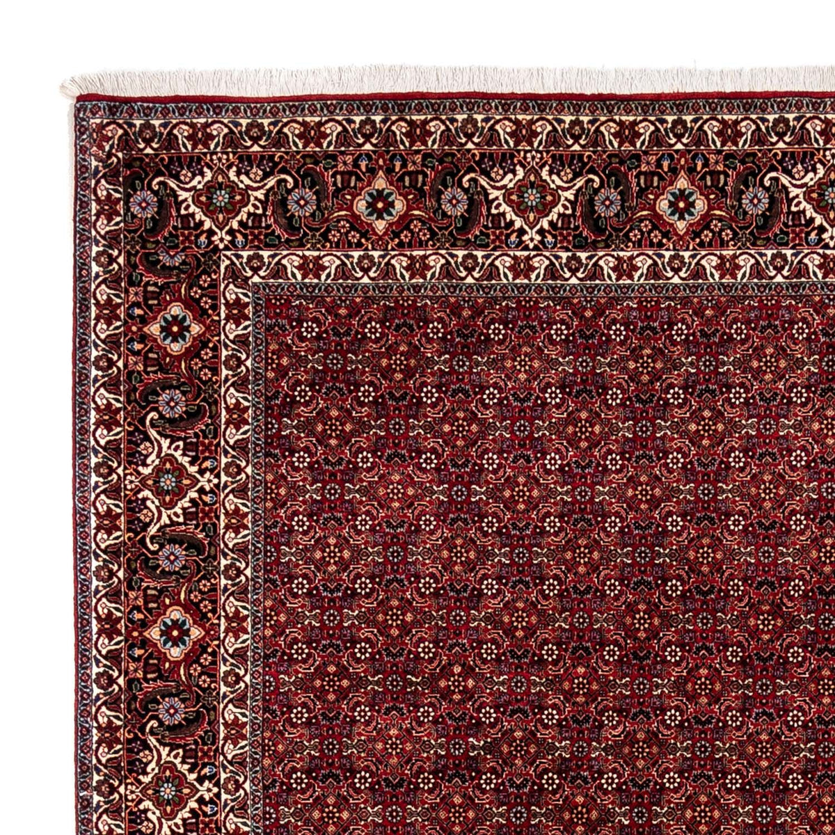 Tappeto Persero - Bidjar - 350 x 250 cm - rosso