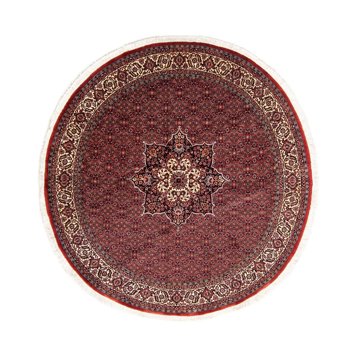 Tappeto Persero - Bidjar rotondo  - 205 x 205 cm - rosso scuro