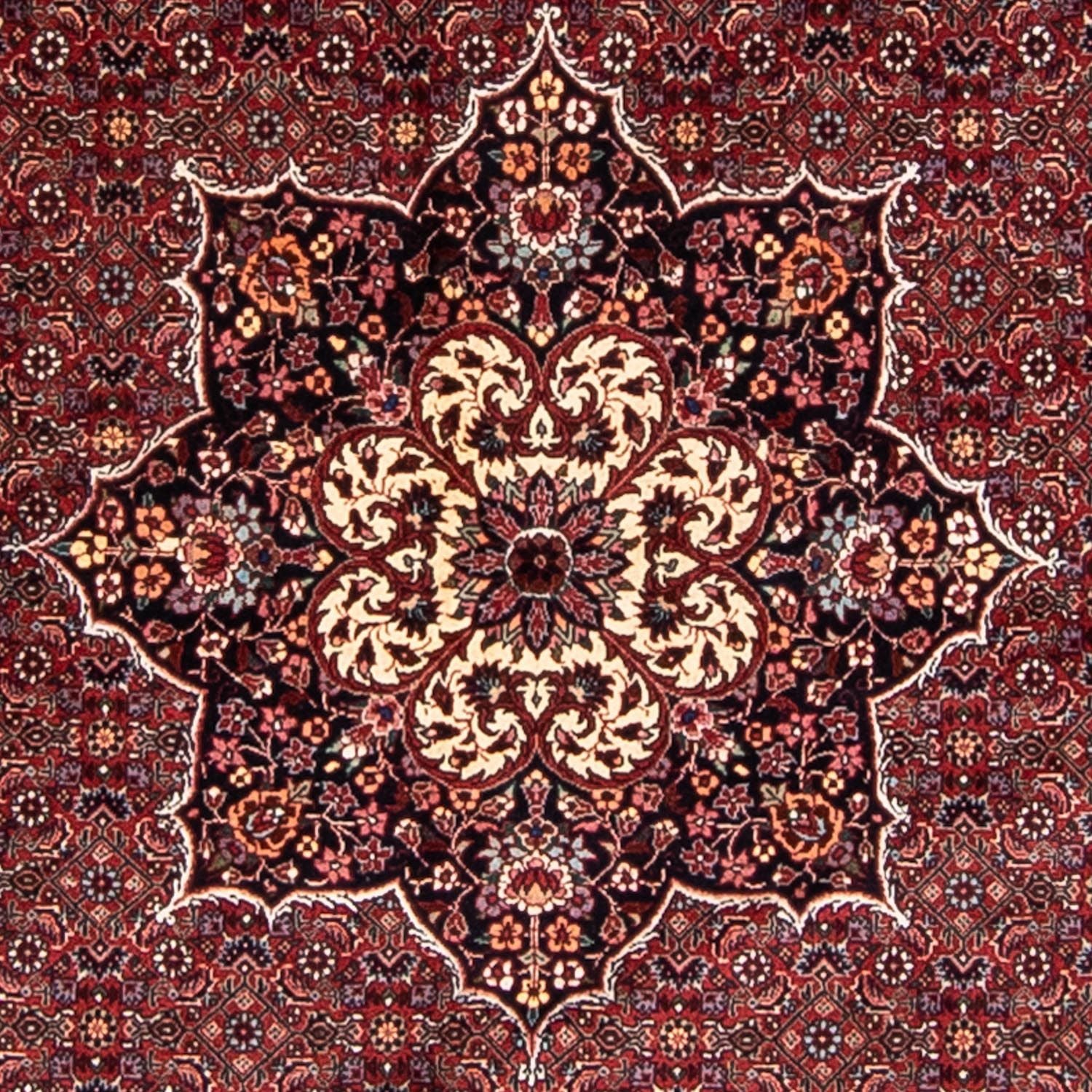 Tappeto Persero - Bidjar rotondo  - 205 x 205 cm - rosso scuro