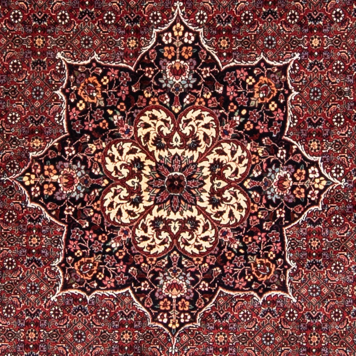 Tappeto Persero - Bidjar rotondo  - 205 x 205 cm - rosso scuro