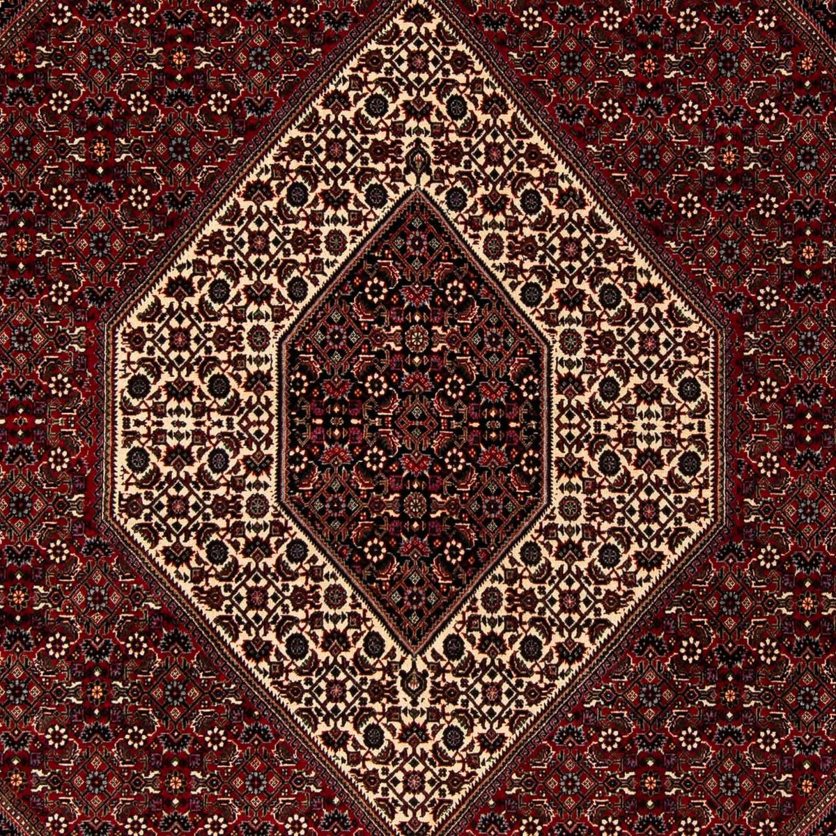 Tappeto Persero - Bidjar - 251 x 203 cm - rosso scuro
