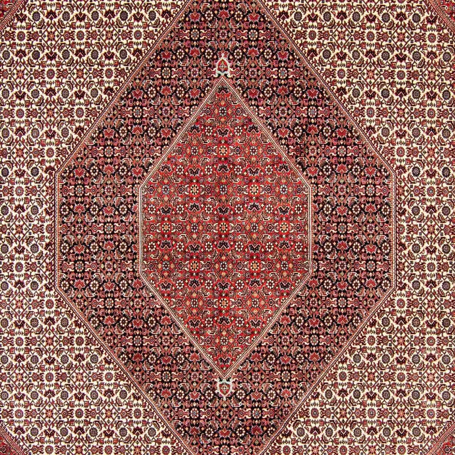 Tappeto Persero - Bidjar - 404 x 298 cm - rosso chiaro