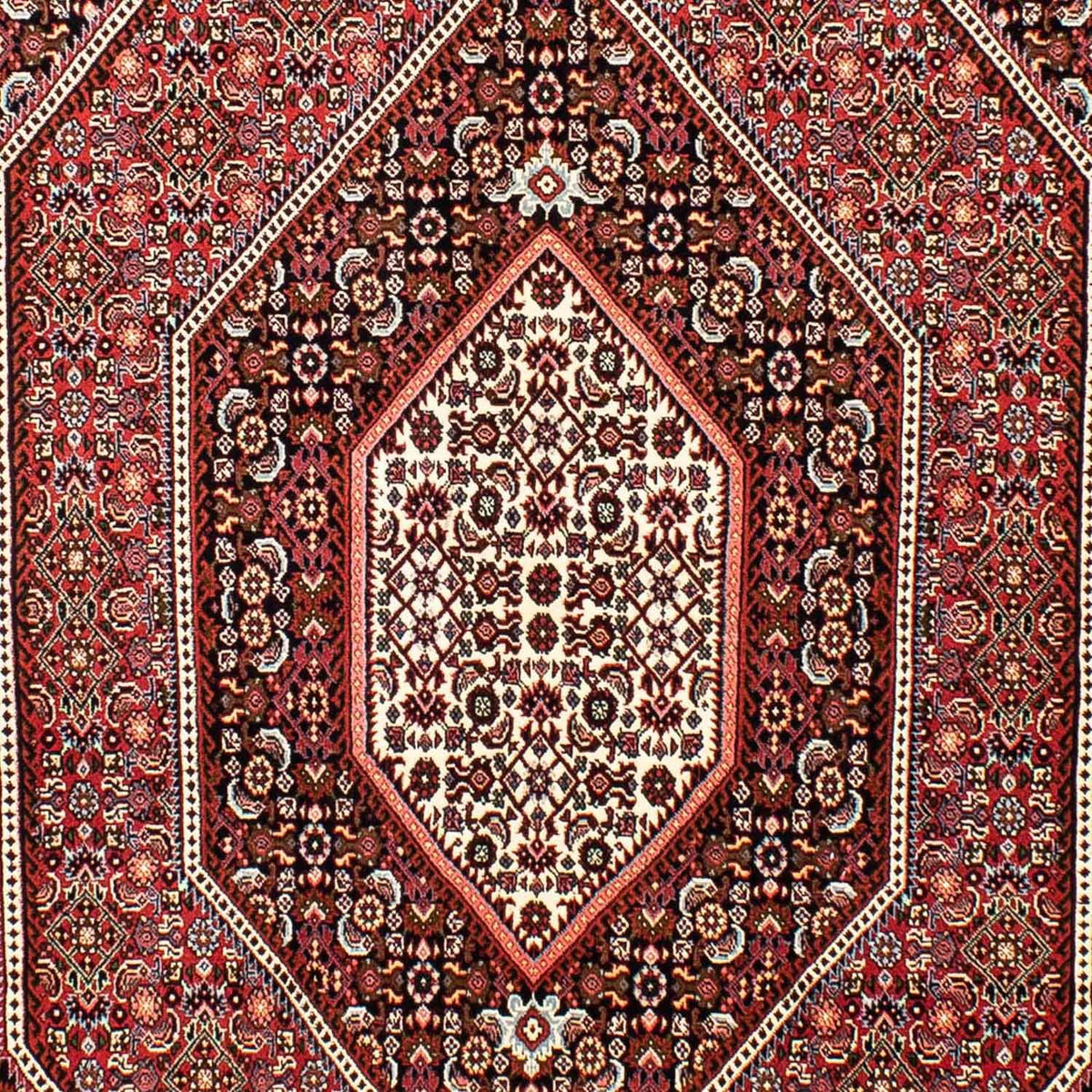 Tappeto Persero - Bidjar - 257 x 162 cm - rosso chiaro