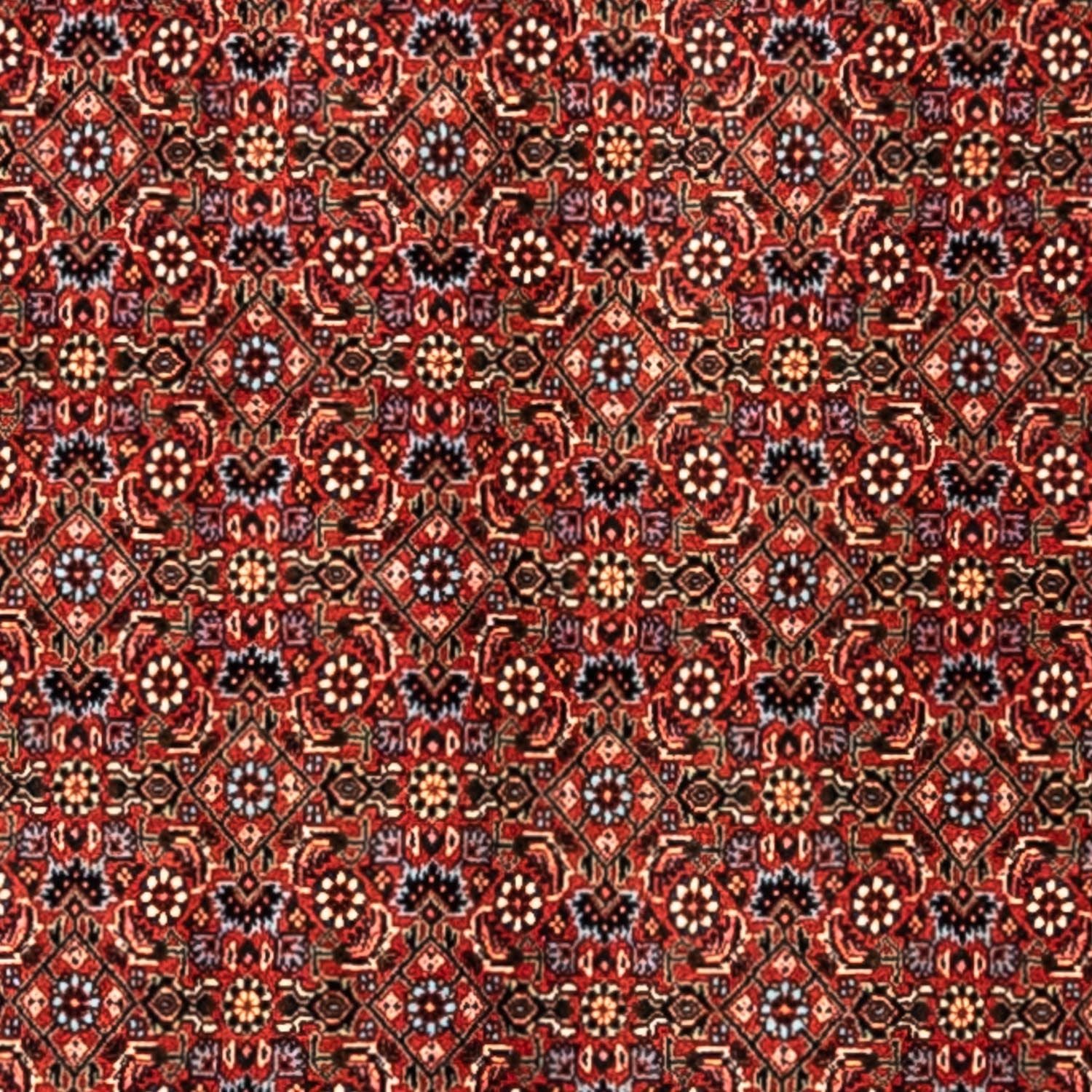 Tappeto Persero - Bidjar - 363 x 248 cm - rosso