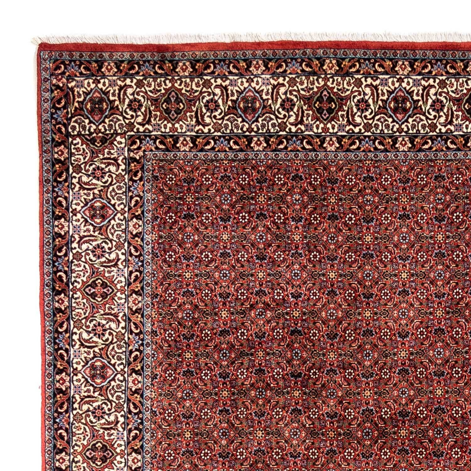 Tappeto Persero - Bidjar - 363 x 248 cm - rosso