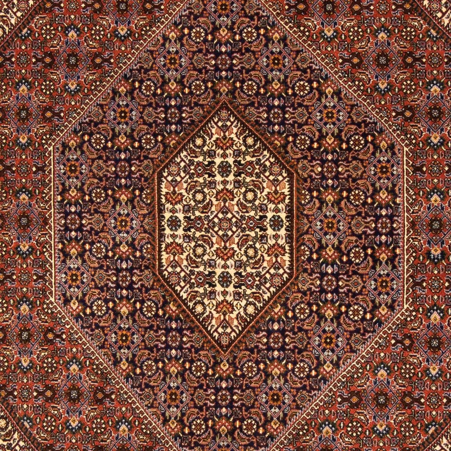 Tappeto Persero - Bidjar - 237 x 170 cm - marrone