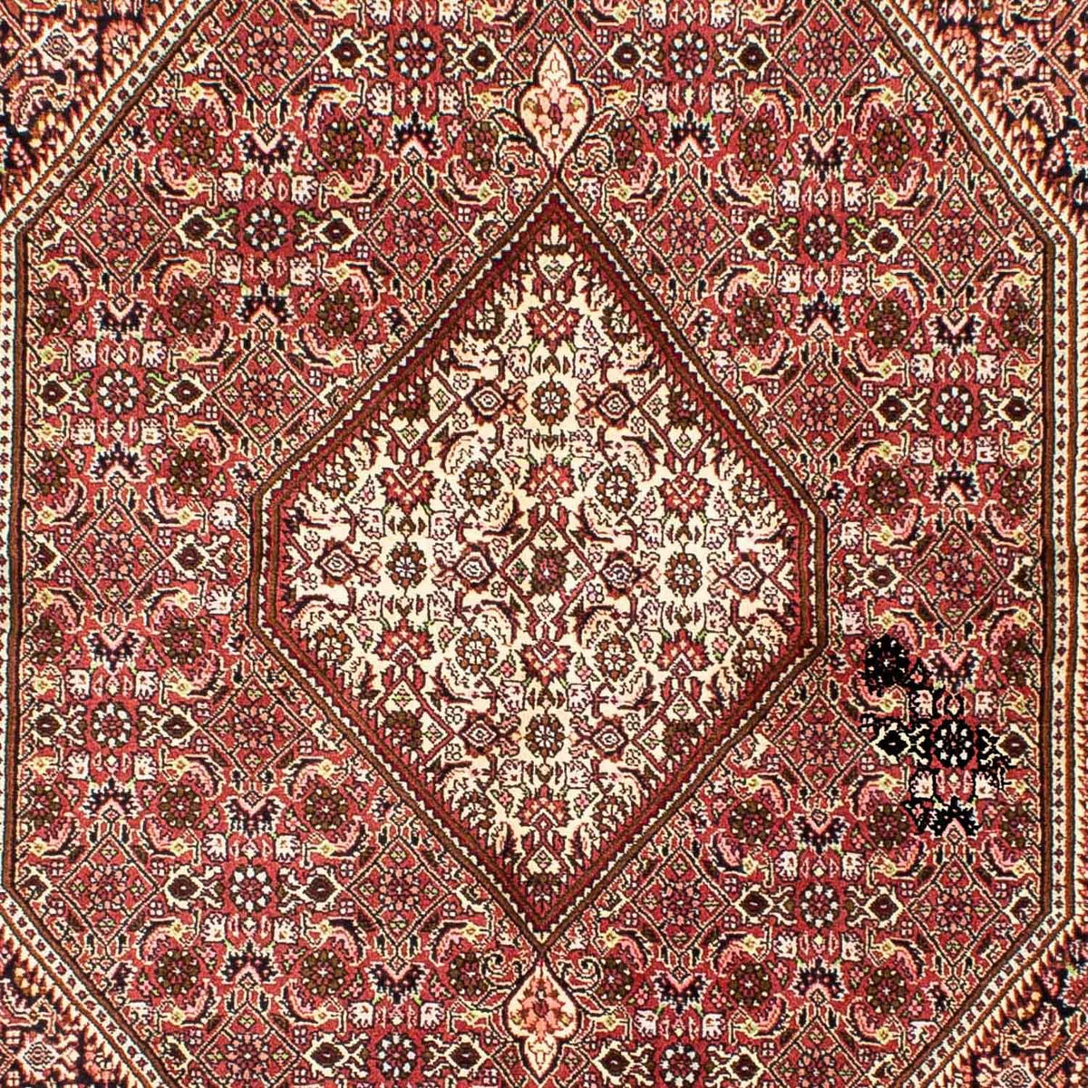 Tappeto Persero - Bidjar - 248 x 176 cm - rosso chiaro