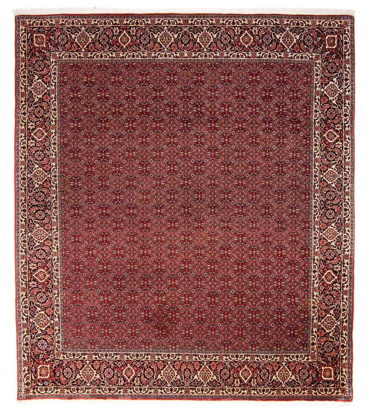 Tappeto Persero - Bidjar - 288 x 256 cm - rosso scuro