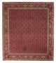 Bidjar Tappeto 256x288cm - Tappeto persiano