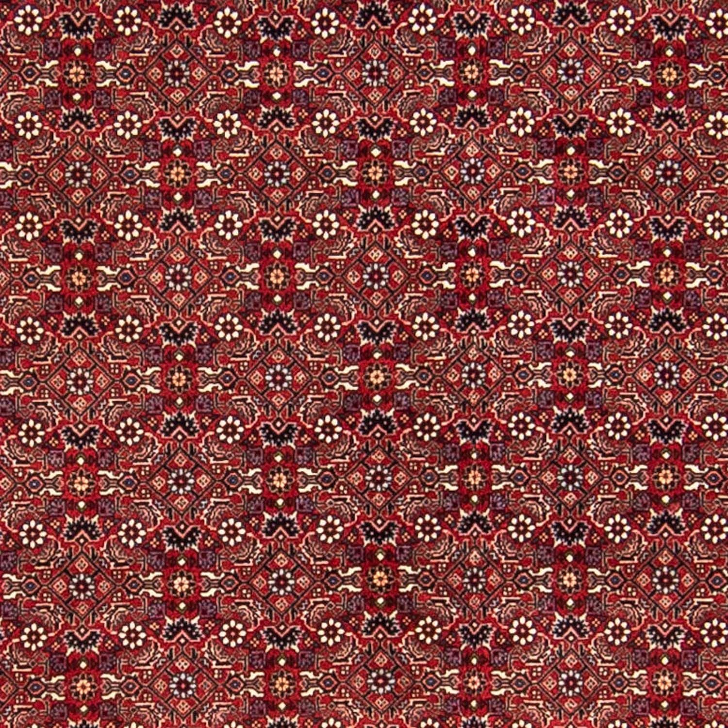 Tappeto Persero - Bidjar - 288 x 256 cm - rosso scuro