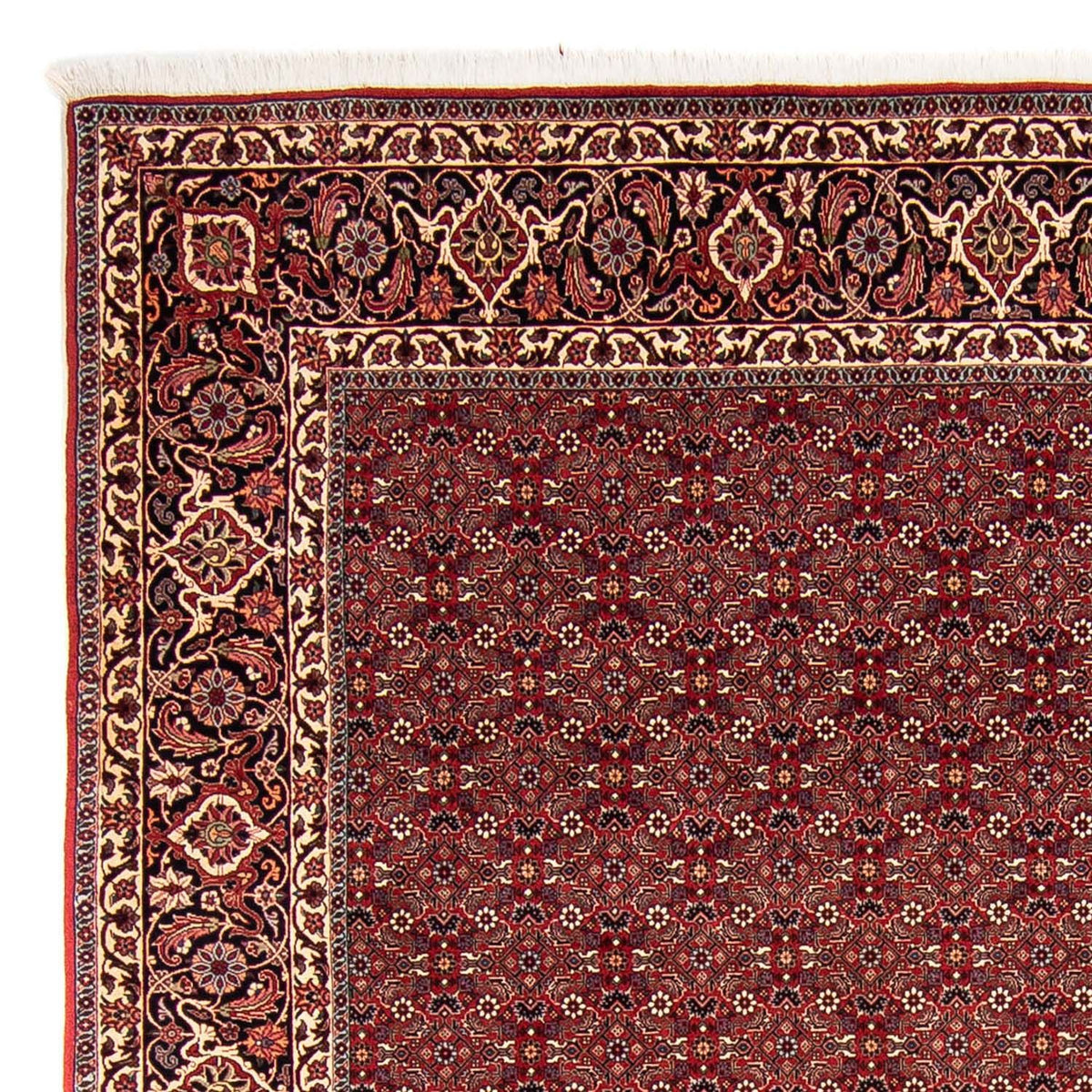 Tappeto Persero - Bidjar - 288 x 256 cm - rosso scuro