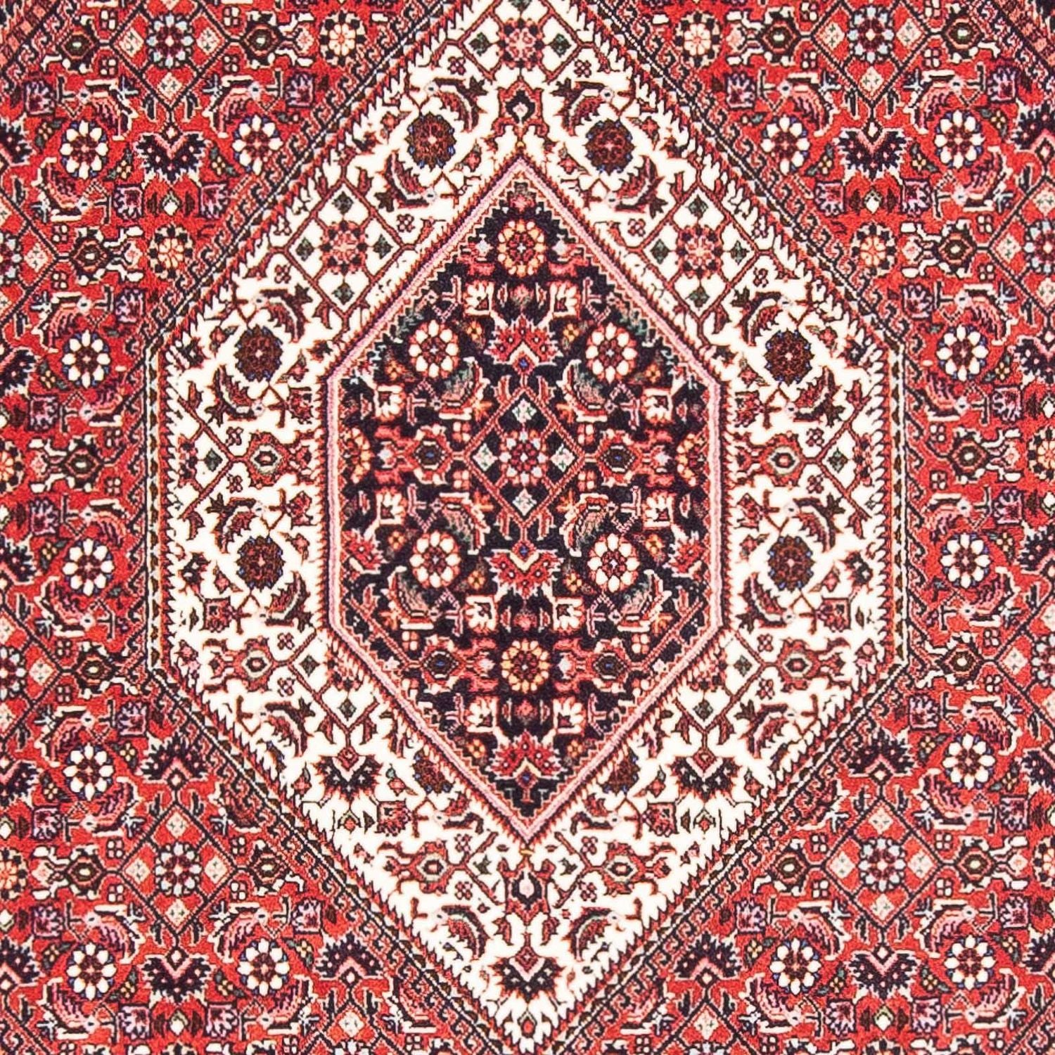 Tappeto Persero - Bidjar - 175 x 112 cm - rosso