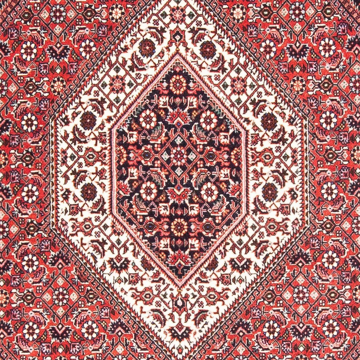 Tappeto Persero - Bidjar - 175 x 112 cm - rosso