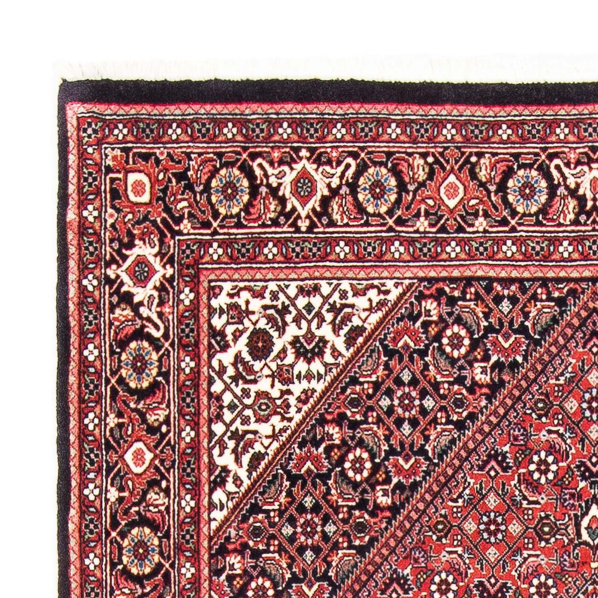 Tappeto Persero - Bidjar - 175 x 112 cm - rosso