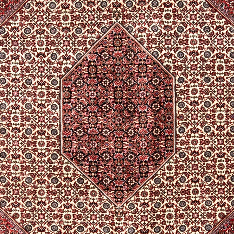 Tappeto Persero - Bidjar - 343 x 253 cm - rosso
