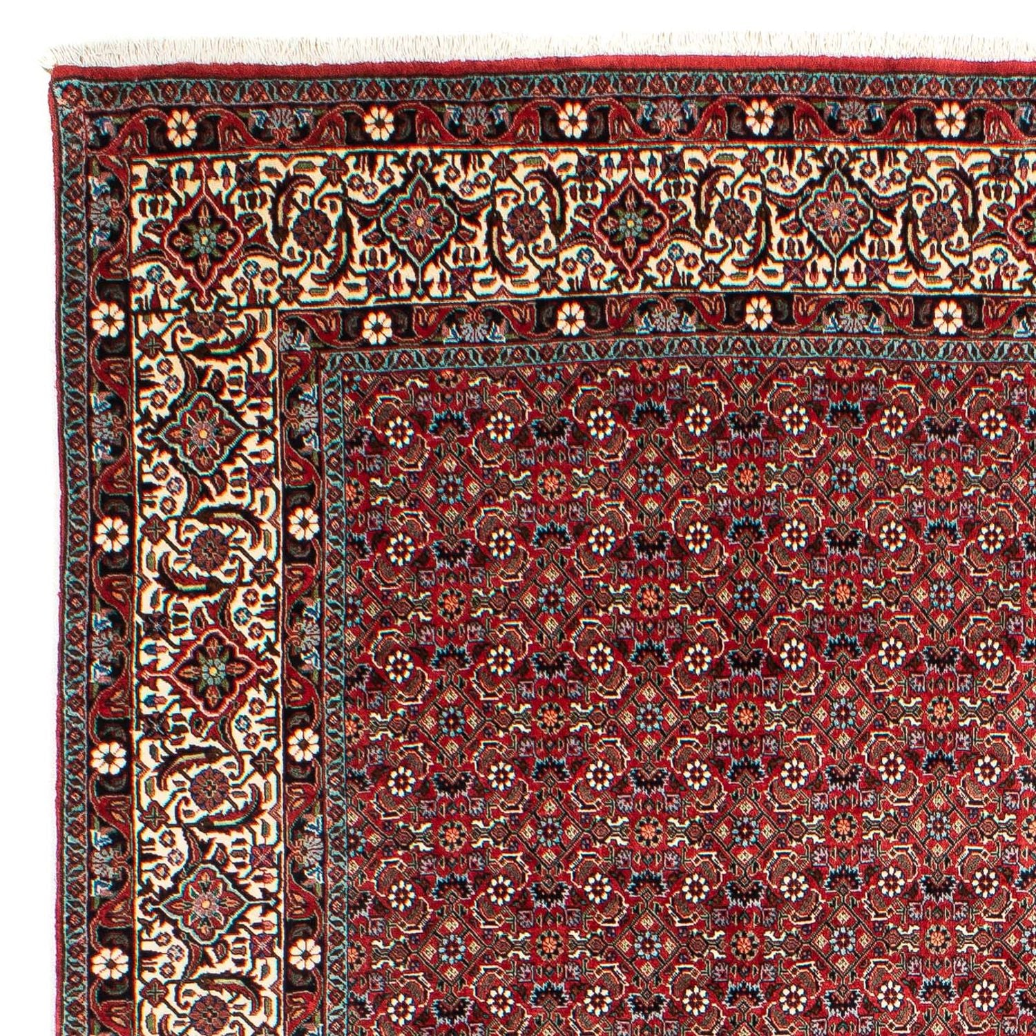 Tappeto Persero - Bidjar - 290 x 203 cm - rosso scuro