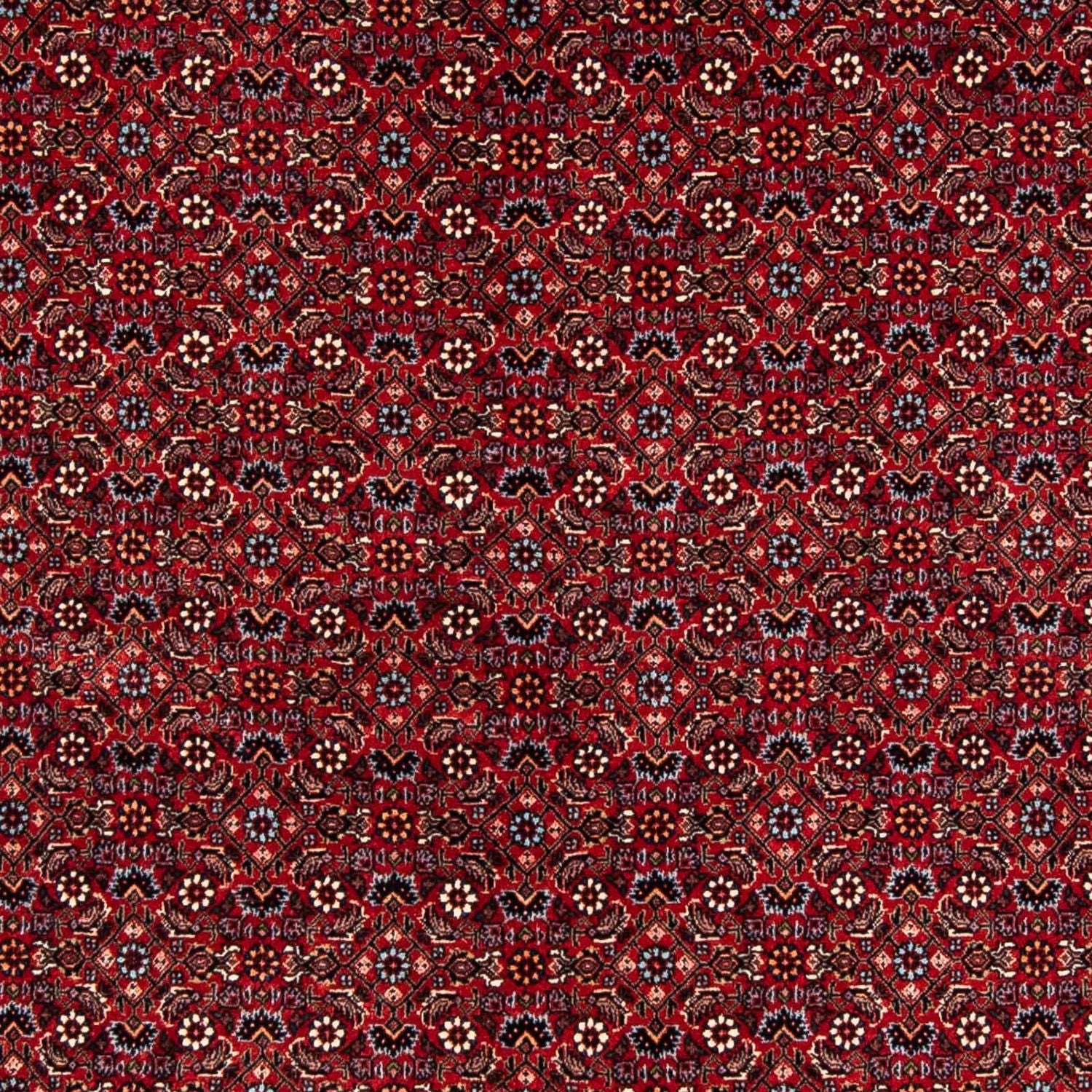 Tappeto Persero - Bidjar - 243 x 172 cm - rosso scuro