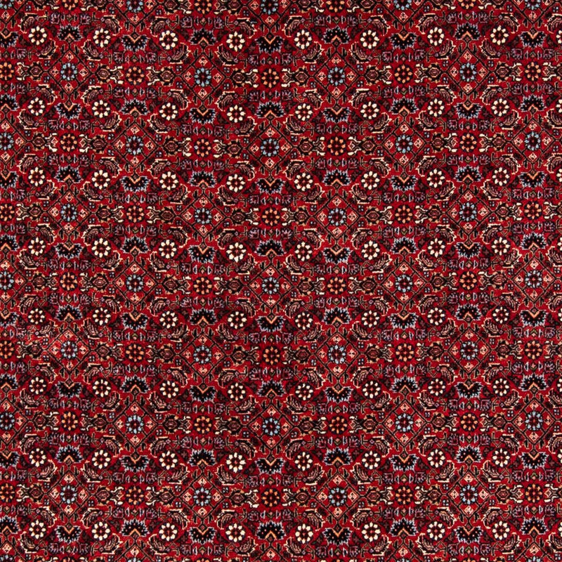 Tappeto Persero - Bidjar - 243 x 172 cm - rosso scuro