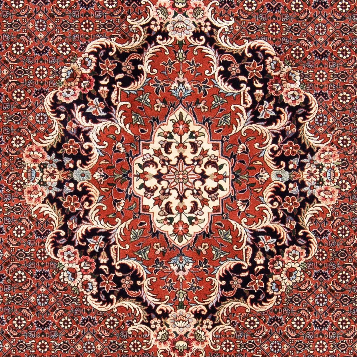 Tappeto Persero - Bidjar - 228 x 172 cm - rosso