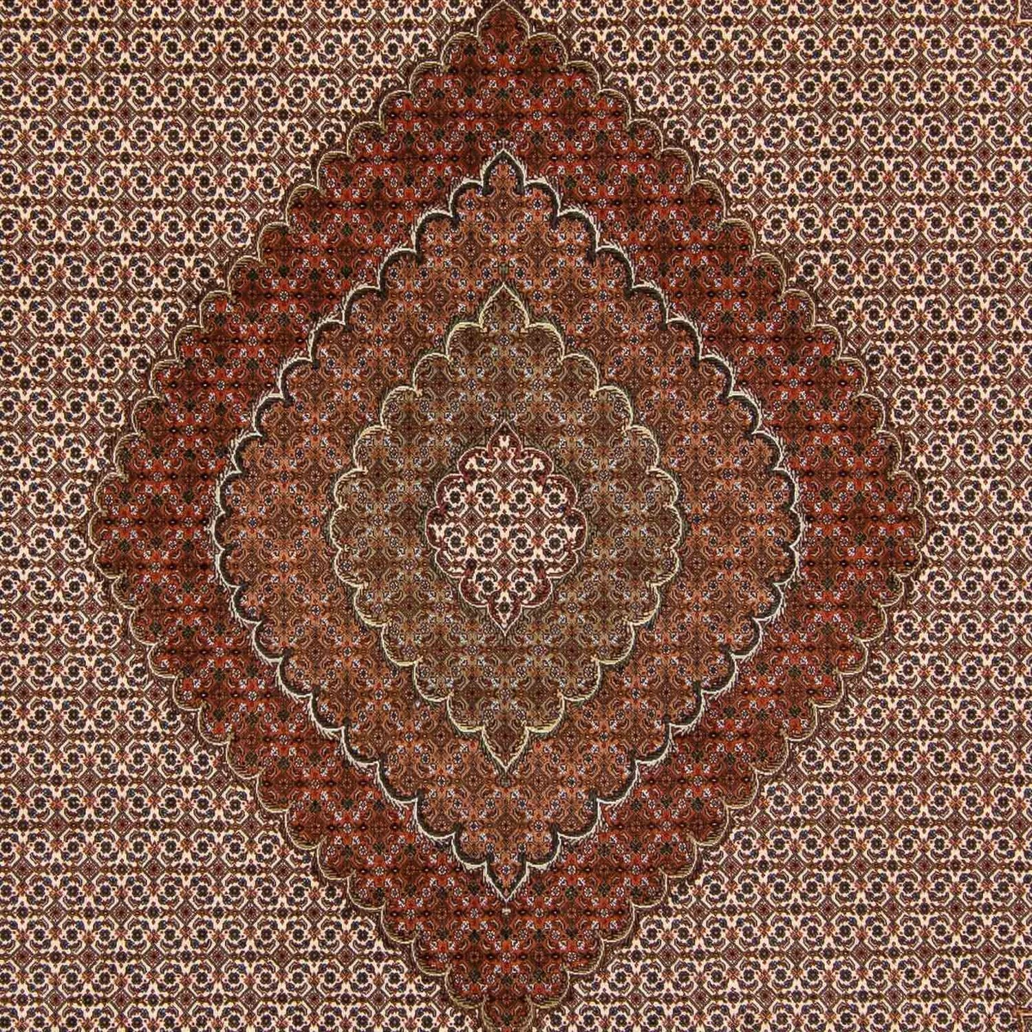 Tappeto Persero - Tabriz - Reale - 349 x 250 cm - marrone