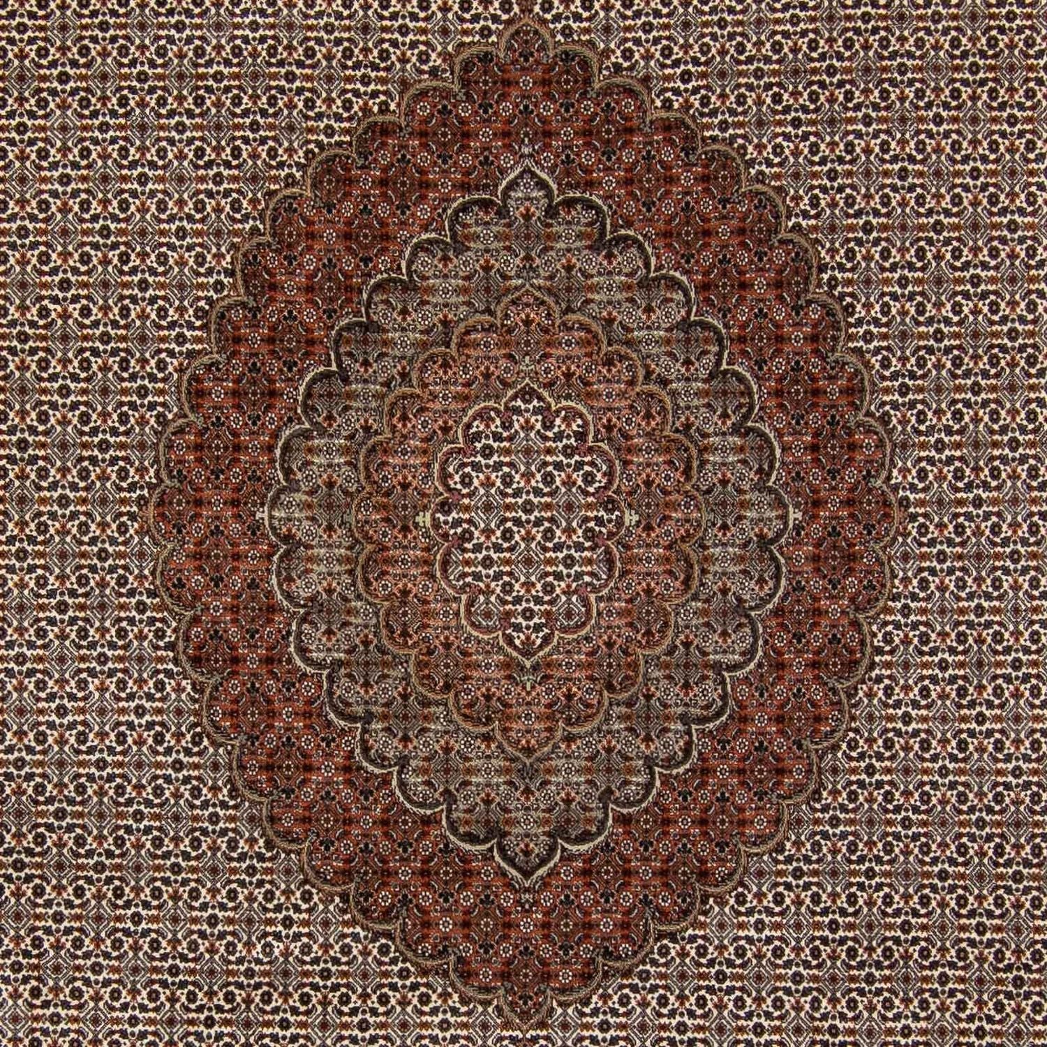 Tappeto Persero - Tabriz - 350 x 250 cm - marrone scuro