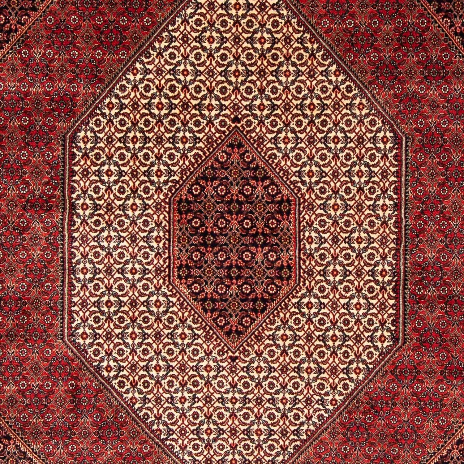 Tappeto Persero - Bidjar - 248 x 171 cm - rosso scuro