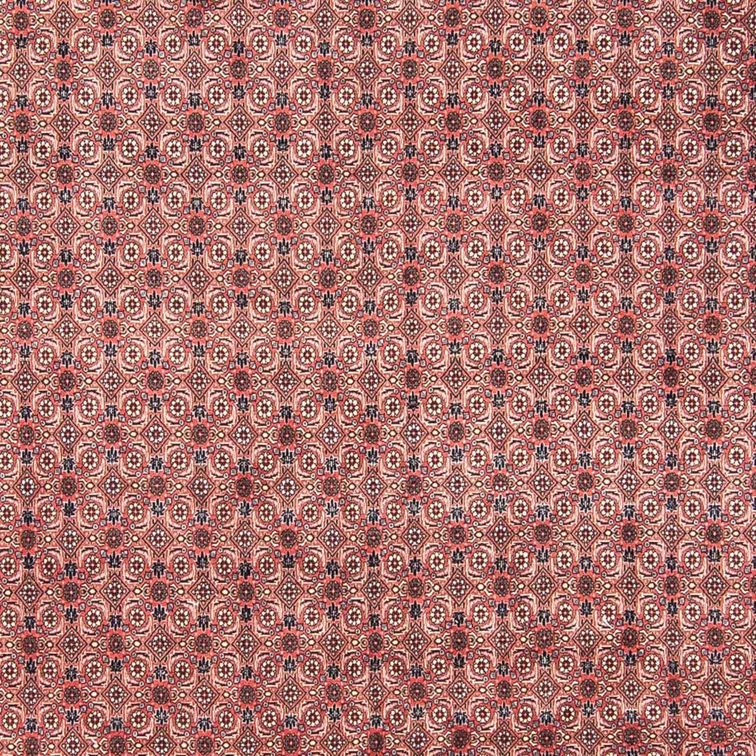 Tappeto Persero - Bidjar - 308 x 254 cm - rosso chiaro