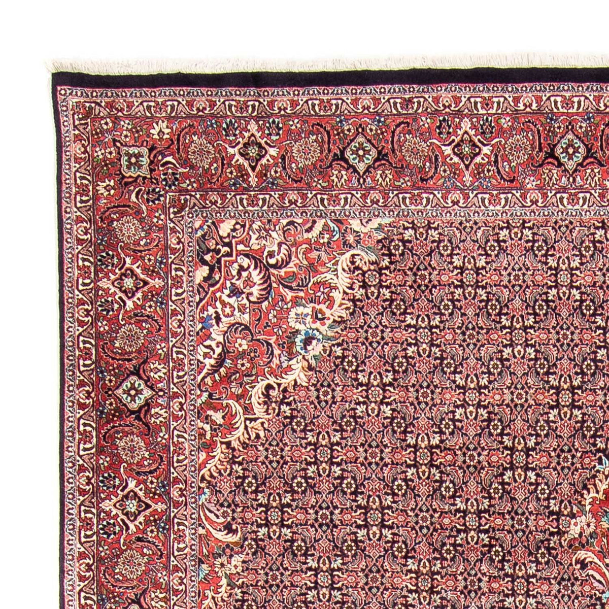 Tappeto Persero - Bidjar - 355 x 246 cm - rosso chiaro