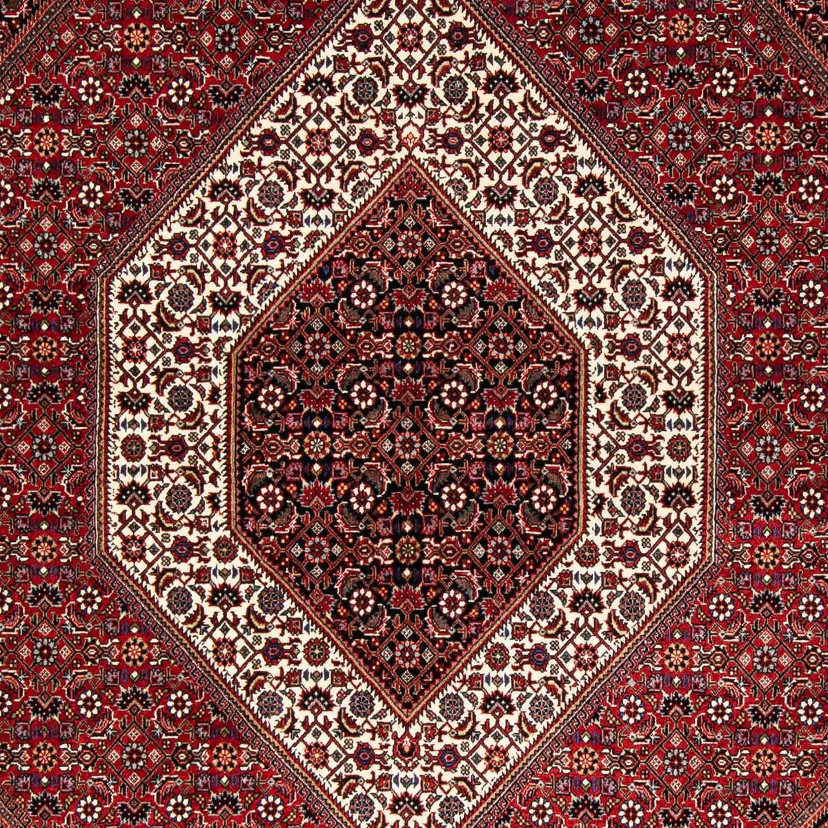 Tappeto Persero - Bidjar - 229 x 170 cm - rosso