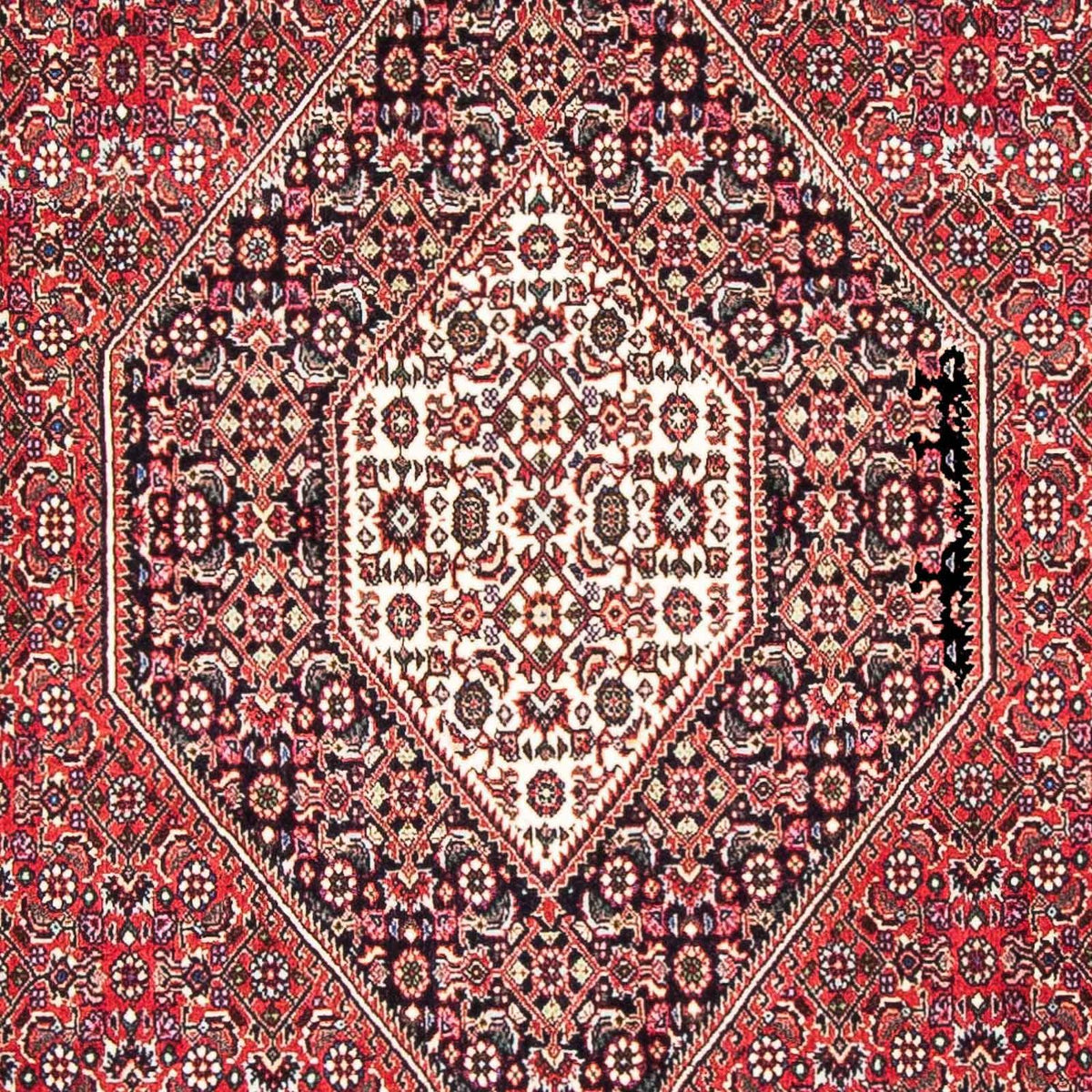 Tappeto Persero - Bidjar - 185 x 110 cm - rosso