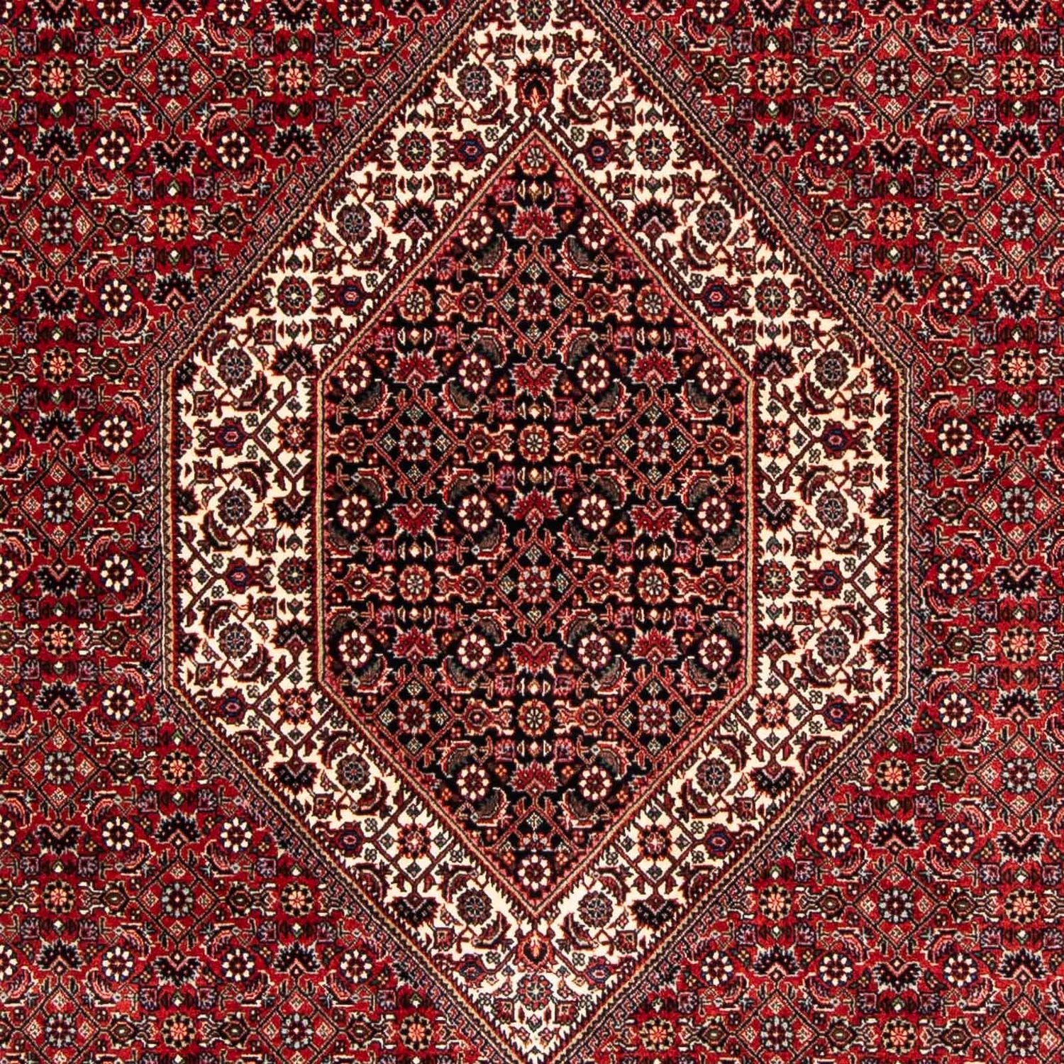 Tappeto Persero - Bidjar - 250 x 170 cm - rosso scuro