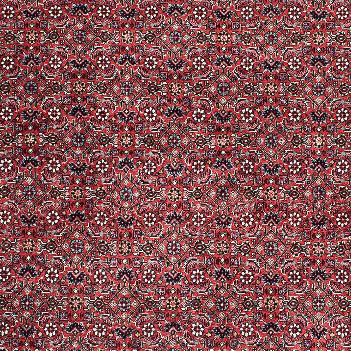 Tappeto Persero - Bidjar - 212 x 130 cm - rosso chiaro