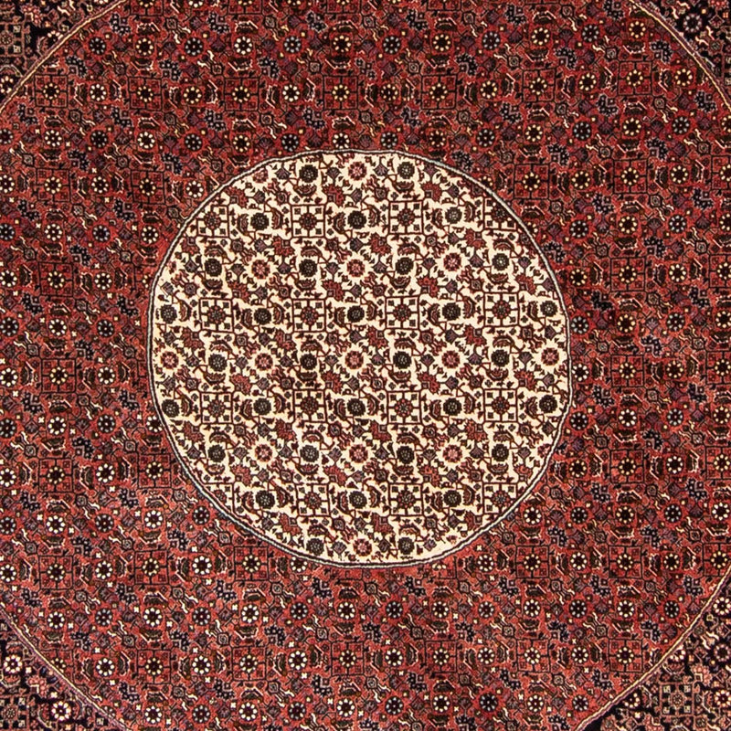Tappeto Persero - Bidjar rotondo  - 260 x 260 cm - rosso scuro