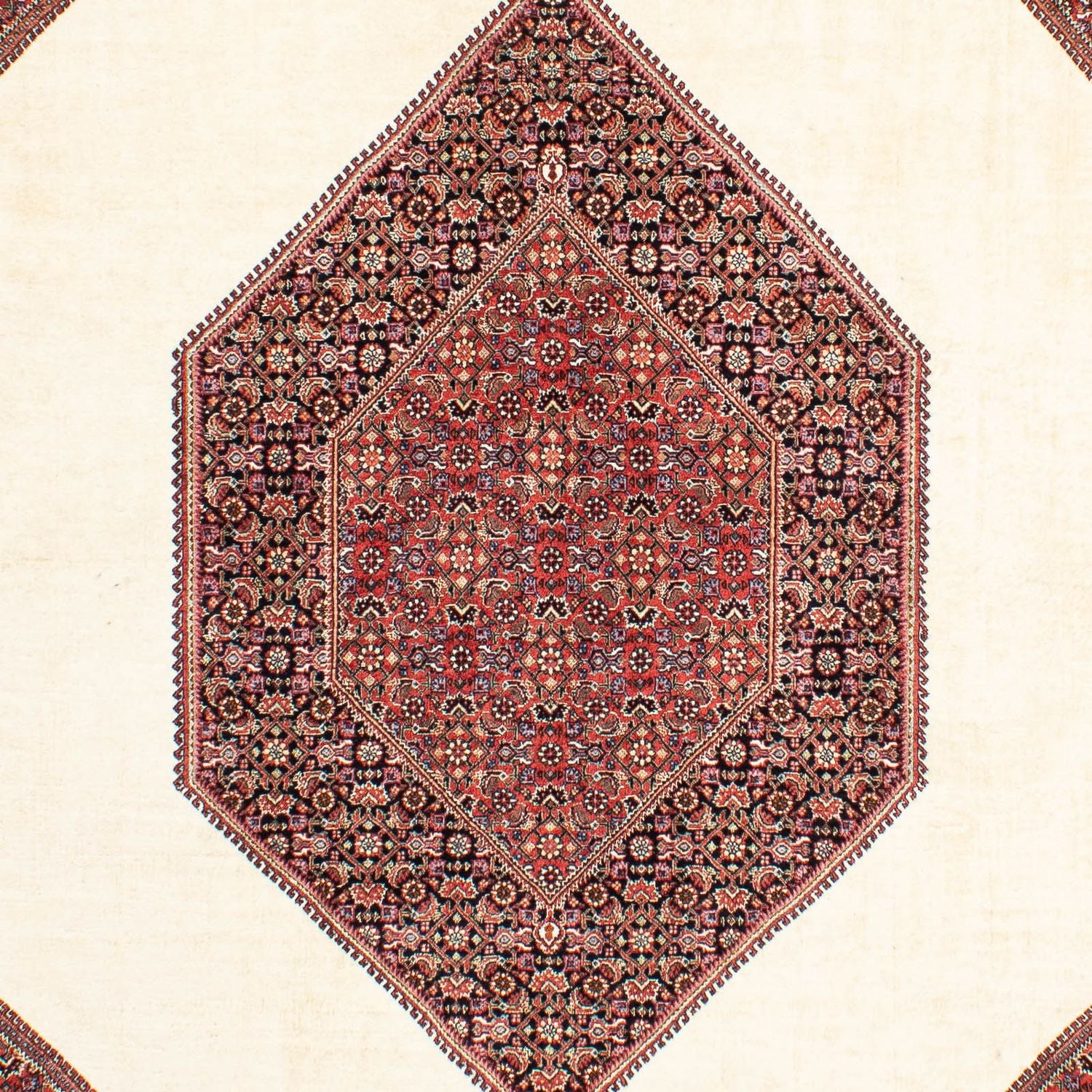 Tappeto Persero - Bidjar - 300 x 200 cm - beige