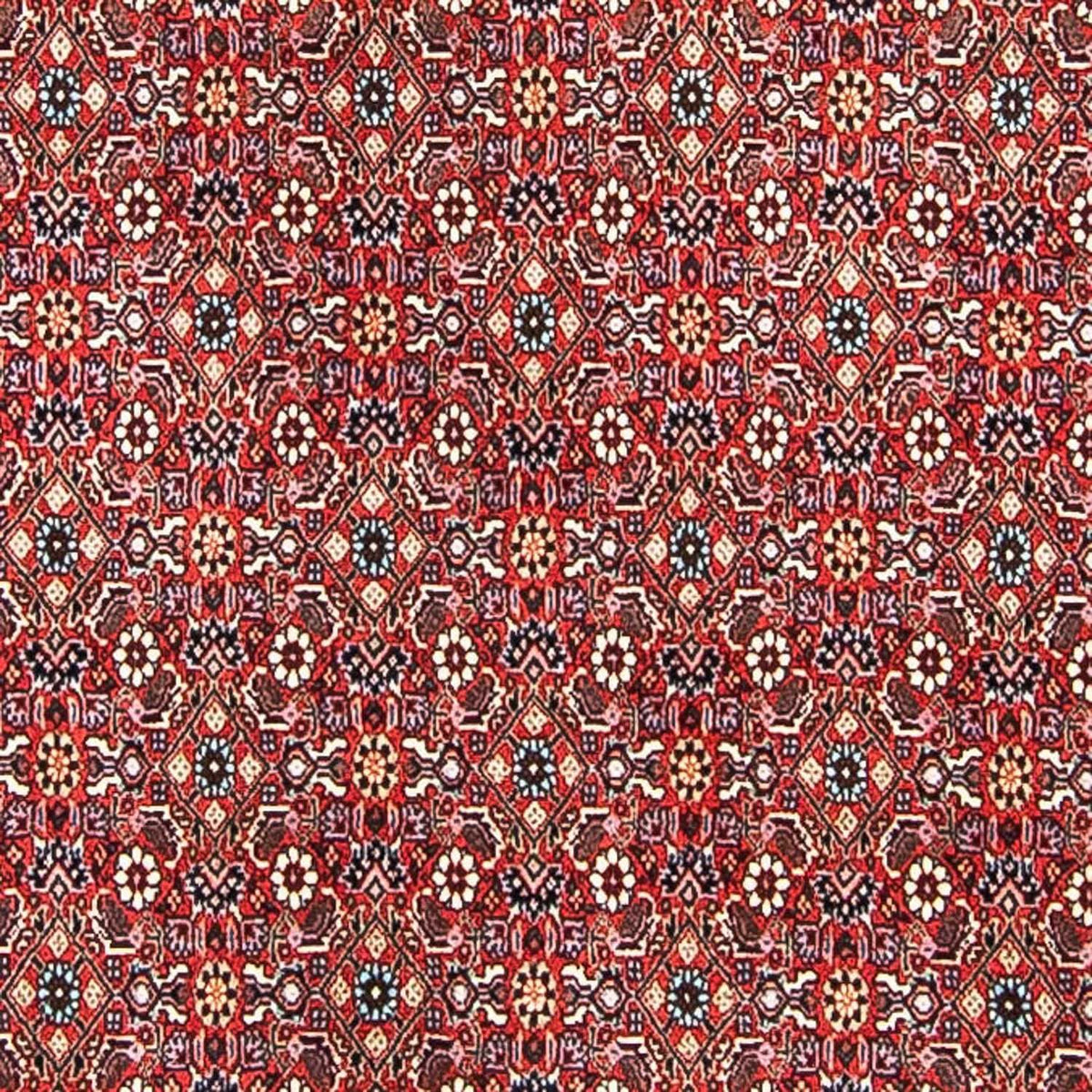 Tappeto Persero - Bidjar - 297 x 249 cm - rosso chiaro
