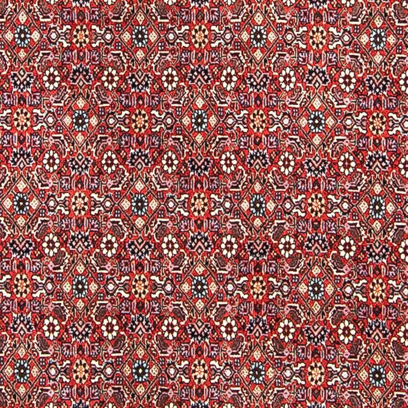 Tappeto Persero - Bidjar - 297 x 249 cm - rosso chiaro