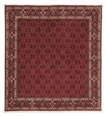 Tappeto Persero - Bidjar quadrato  - 212 x 206 cm - rosso scuro