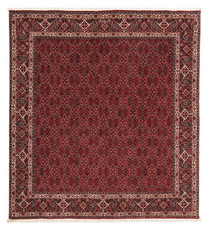 Tappeto Persero - Bidjar quadrato  - 212 x 206 cm - rosso scuro