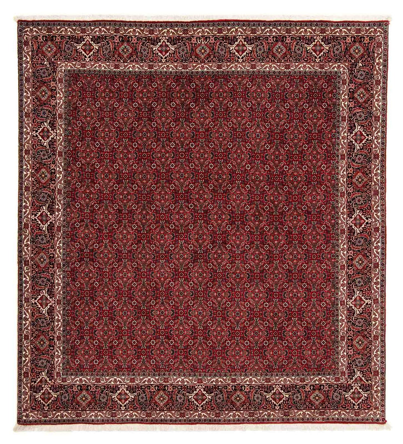 Tappeto Persero - Bidjar quadrato  - 212 x 206 cm - rosso scuro