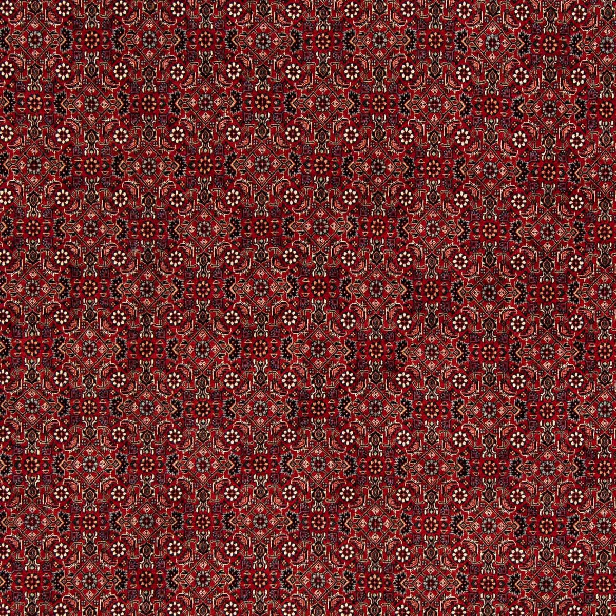 Tappeto Persero - Bidjar quadrato  - 212 x 206 cm - rosso scuro
