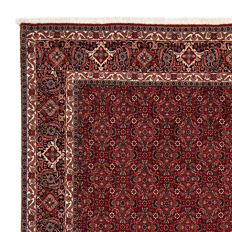 Tappeto Persero - Bidjar quadrato  - 212 x 206 cm - rosso scuro