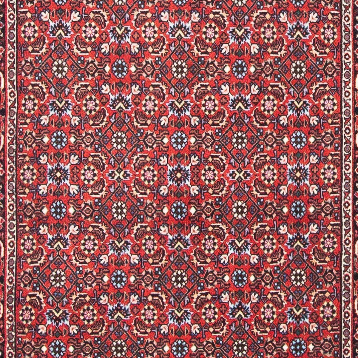 Tappeto Persero - Bidjar - 139 x 70 cm - rosso
