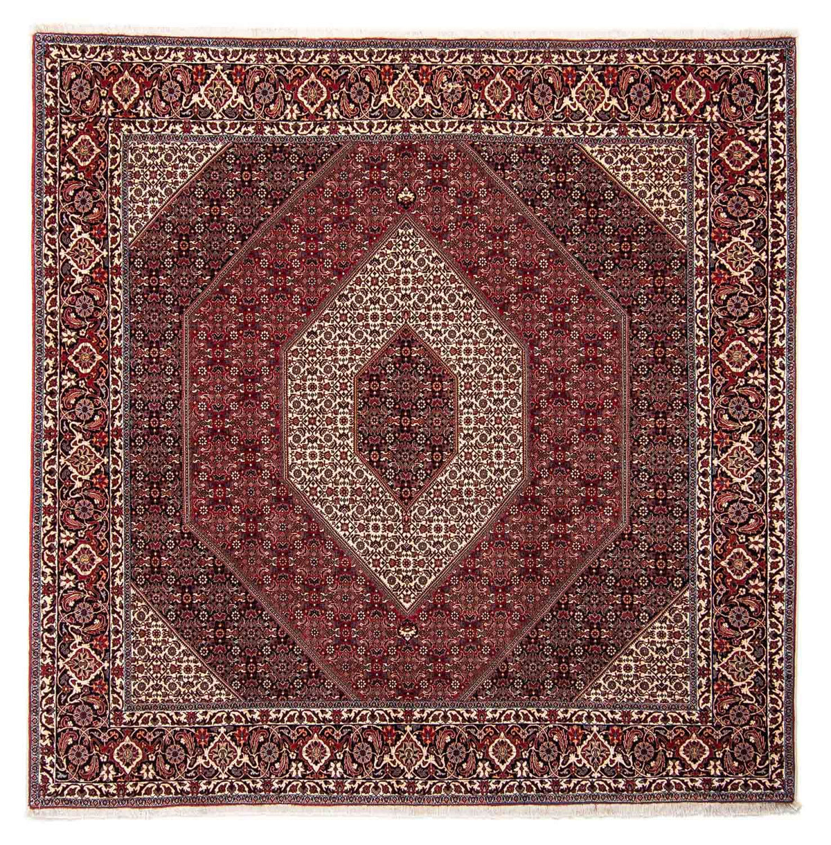Tappeto Persero - Bidjar quadrato  - 250 x 250 cm - rosso scuro