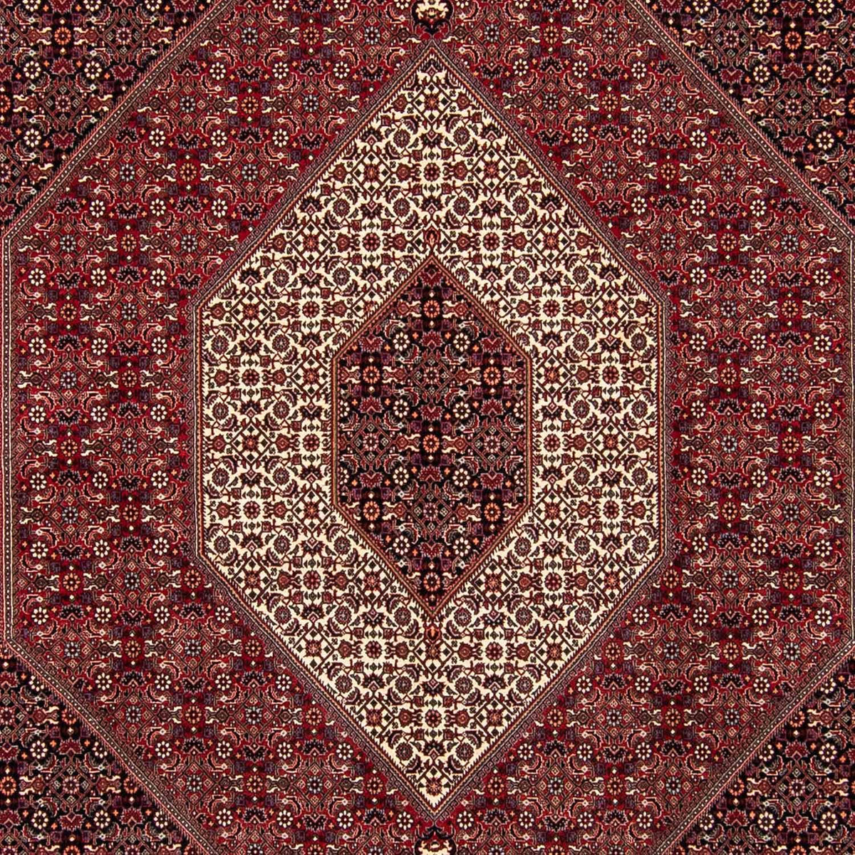 Tappeto Persero - Bidjar quadrato  - 250 x 250 cm - rosso scuro