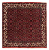 Tappeto Persero - Bidjar quadrato  - 212 x 205 cm - rosso scuro
