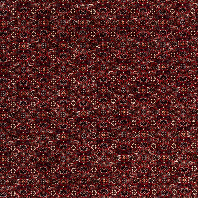 Tappeto Persero - Bidjar quadrato  - 212 x 205 cm - rosso scuro